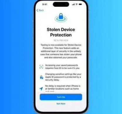 黄石港苹果授权维修店分享被盗设备保护功能开启方法 