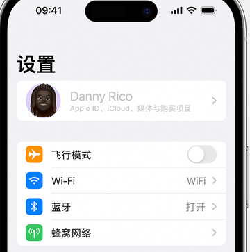 黄石港appleID维修服务iPhone设置中Apple ID显示为灰色无法使用 