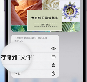 黄石港apple维修中心分享iPhone文件应用中存储和找到下载文件