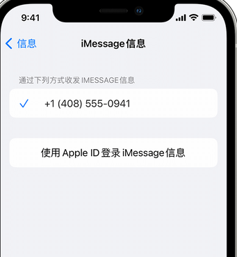 黄石港apple维修iPhone上无法正常发送iMessage信息