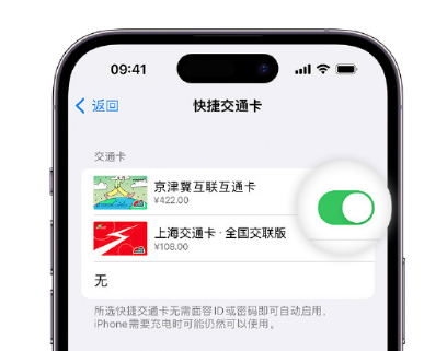 黄石港apple维修点分享iPhone上更换Apple Pay快捷交通卡手绘卡面 