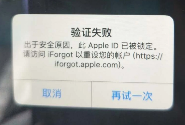 黄石港iPhone维修分享iPhone上正常登录或使用AppleID怎么办 