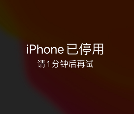 黄石港苹果手机维修分享:iPhone 显示“不可用”或“已停用”怎么办？还能保留数据吗？ 