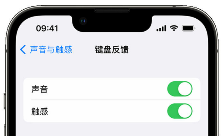 黄石港苹果手机维修分享iPhone 14触感键盘使用方法 