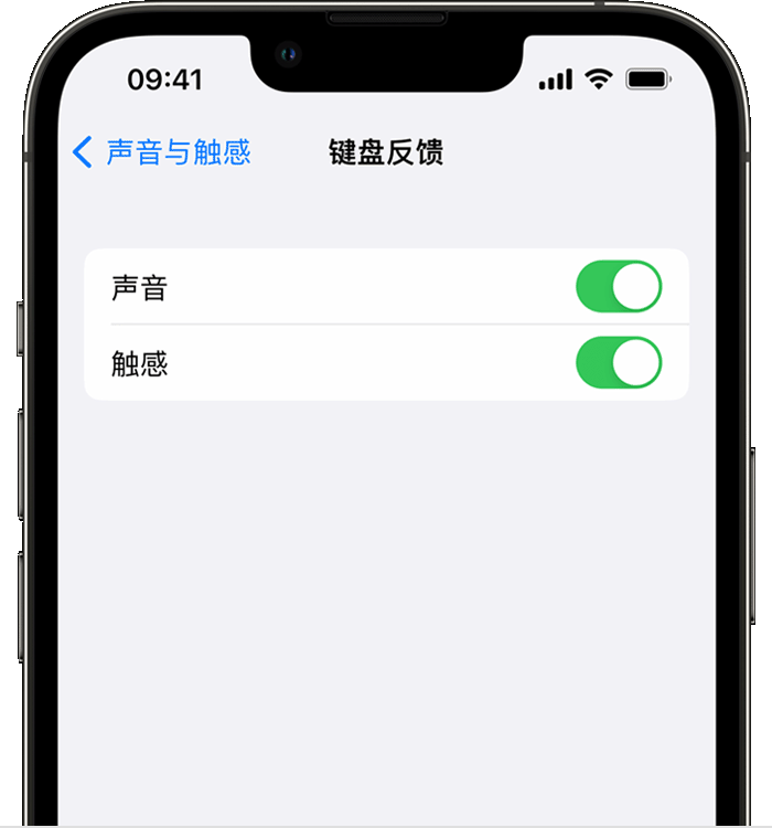 黄石港苹果14维修店分享如何在 iPhone 14 机型中使用触感键盘 