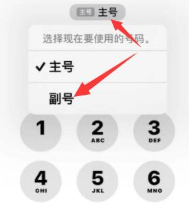 黄石港苹果14维修店分享iPhone 14 Pro Max使用副卡打电话的方法 