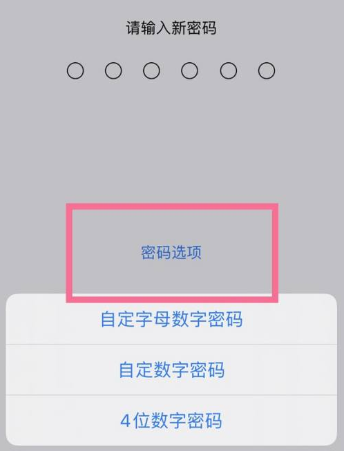 黄石港苹果14维修分享iPhone 14plus设置密码的方法 