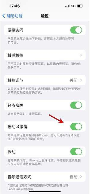 黄石港苹果手机维修分享iPhone手机如何设置摇一摇删除文字 